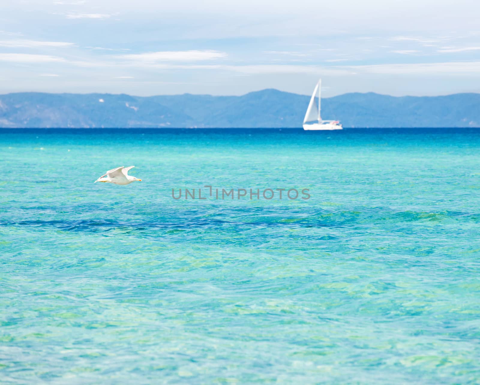 Peaceful seascape with blue-green transparent water, seagull and a yacht in the background.