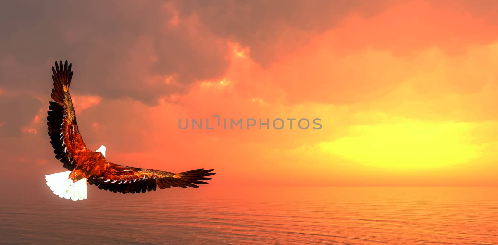 Eagle flying - 3D render by Elenaphotos21