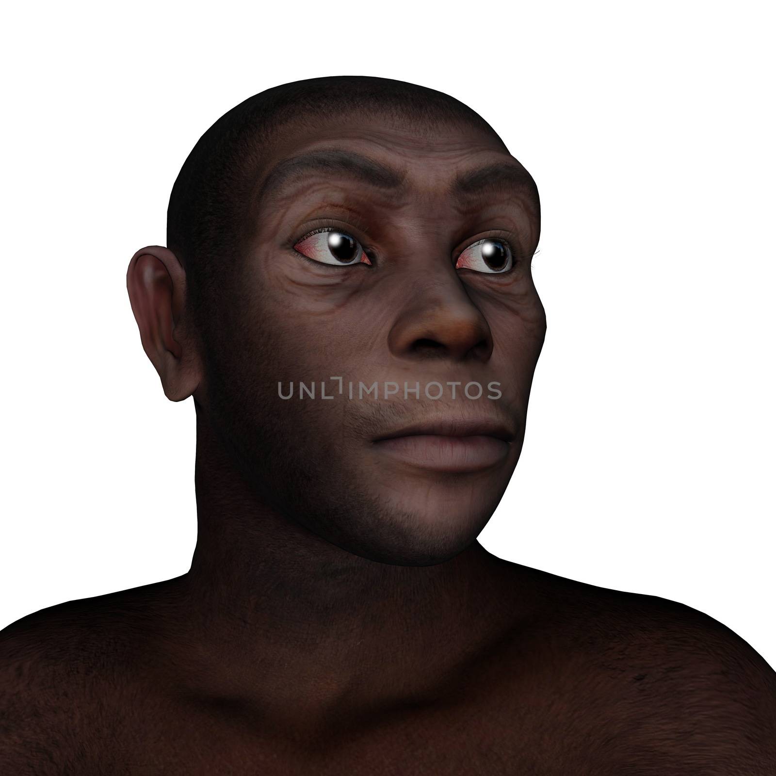 Male homo erectus portrait isolated in white background - 3D render