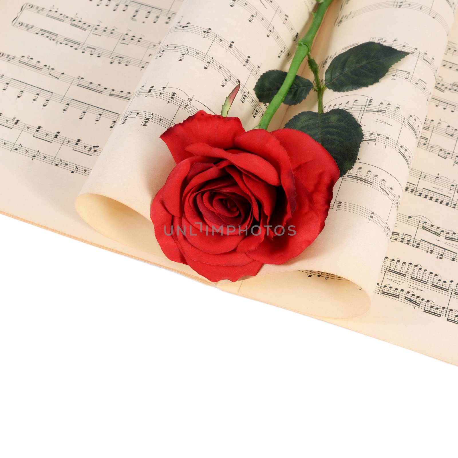 The rose on notebooks with musical notes