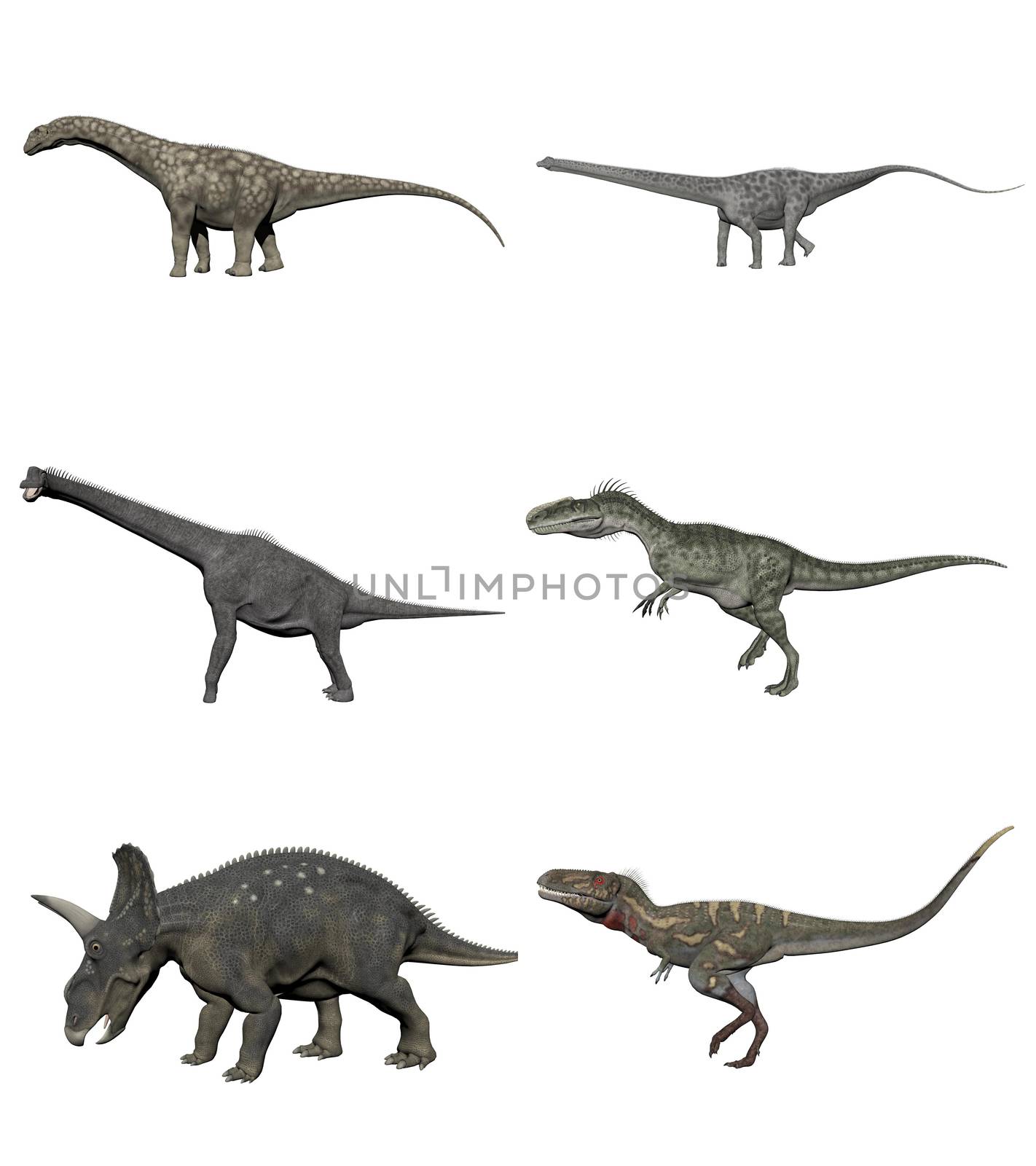 Six various dinosaurs on white bottom