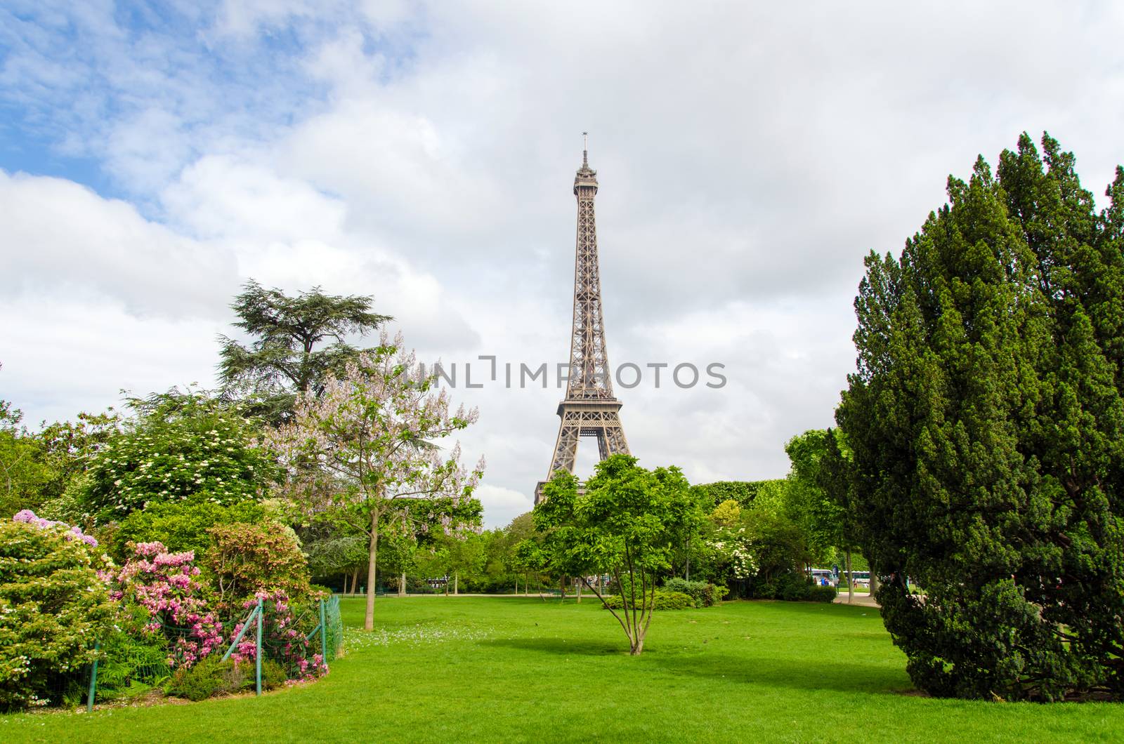 Champ de Mars Park with Eiffel Tower in Paris, France 