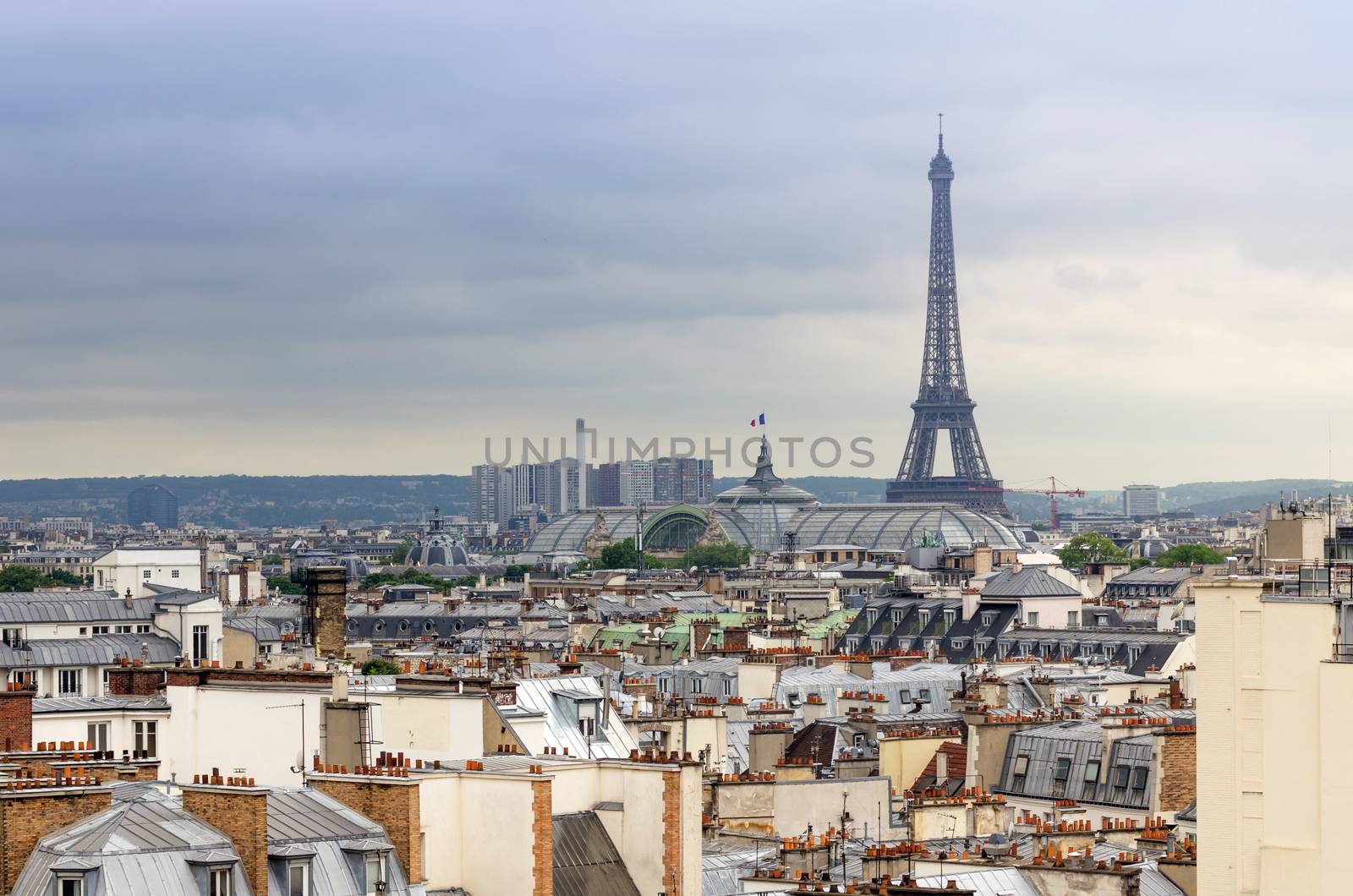 Eiffel Tower and Grand Palais, roofs of Paris, France