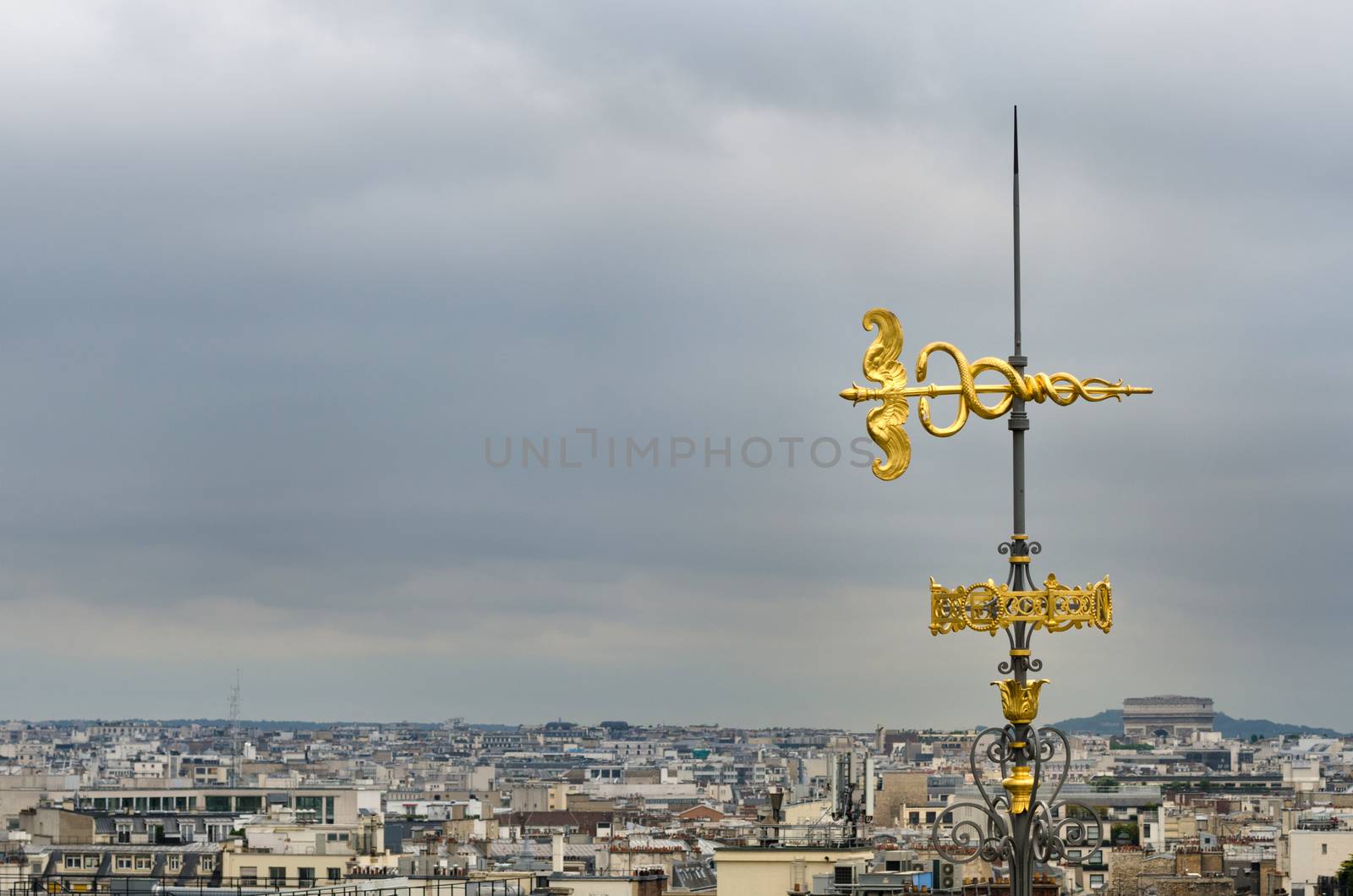 Roof Decorated with Parisian skyline, Paris, France.