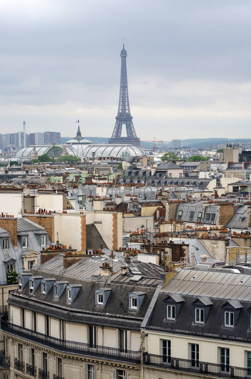 Roofs of Paris and Eiffel Tower, Paris, France