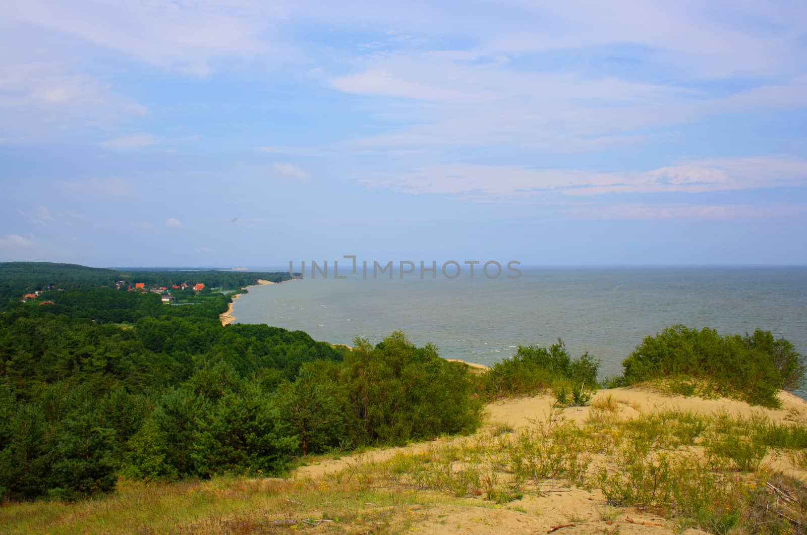 View of Dead Dunes, Curonian Spit, Lithuania