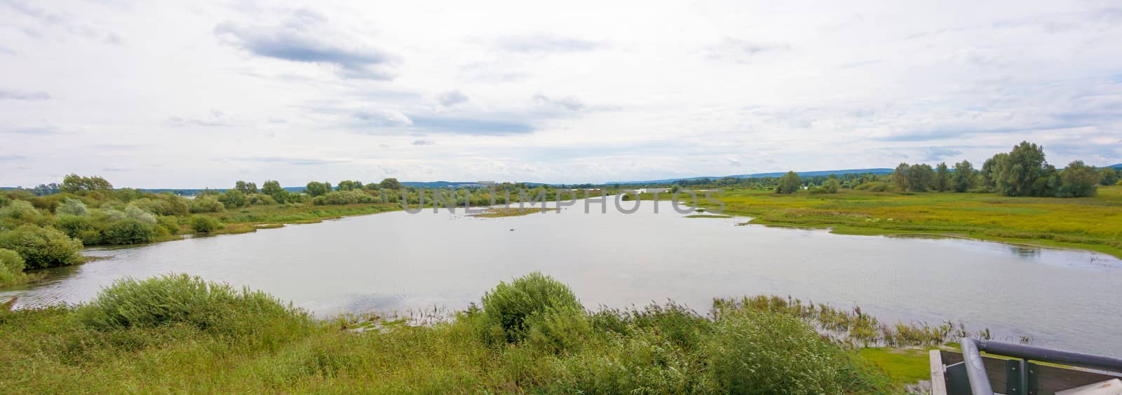 Bird island at the Altmuehlsee, Bavaria, Germany - Vogelfreistaette Flachwasser- und Inselzone im Altmuehlsee