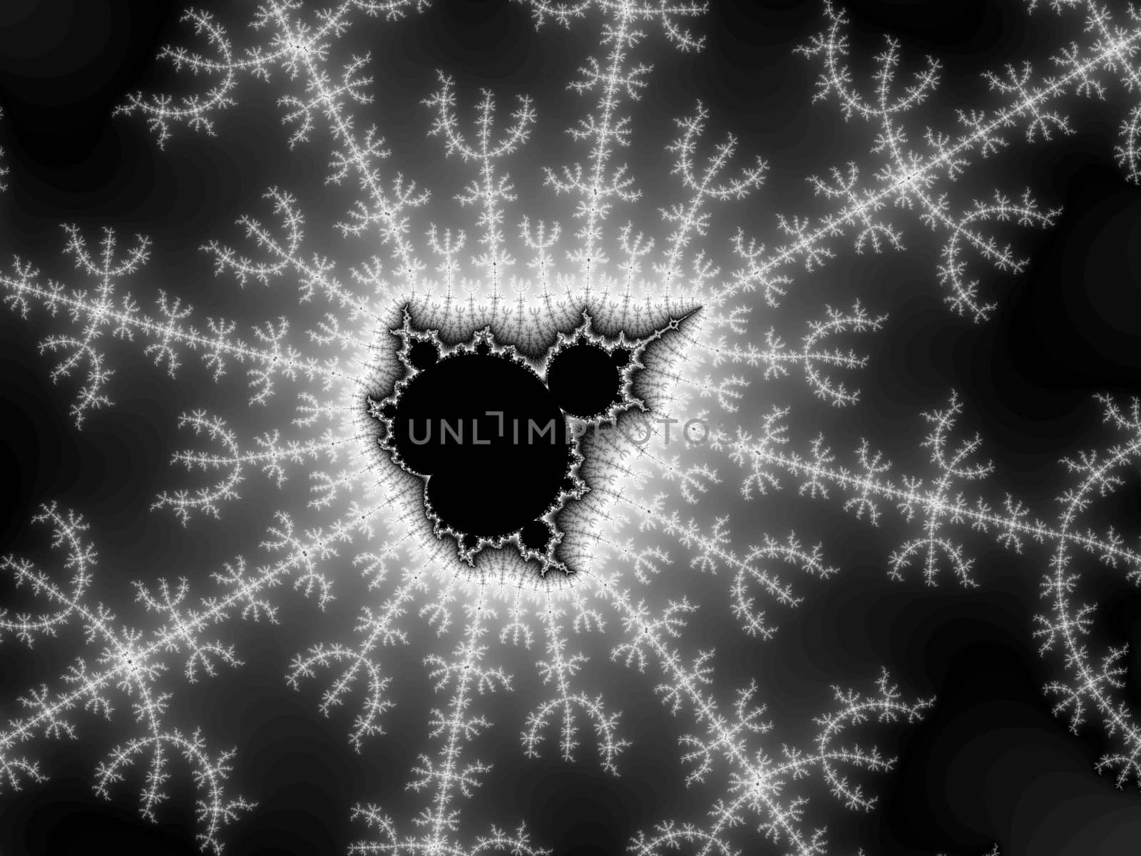 Digital computer graphic - rendering. Abstraction background with a fractal Mandelbrot in a black - white colors for design.