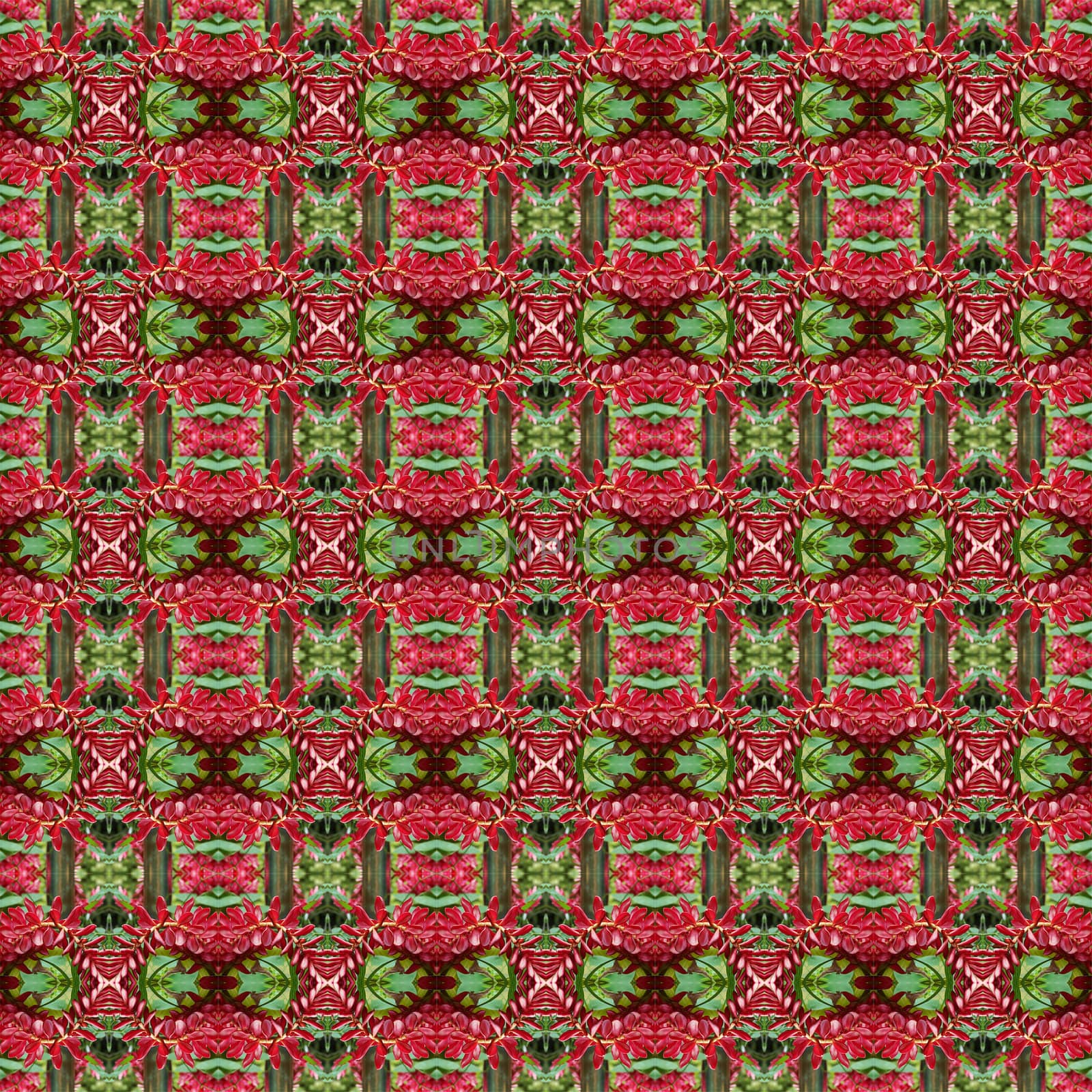 Red Ginger or Ostrich Plume is a native of Malaysia with beautiful flowers with bright colors seamless use as pattern and wallpaper.
