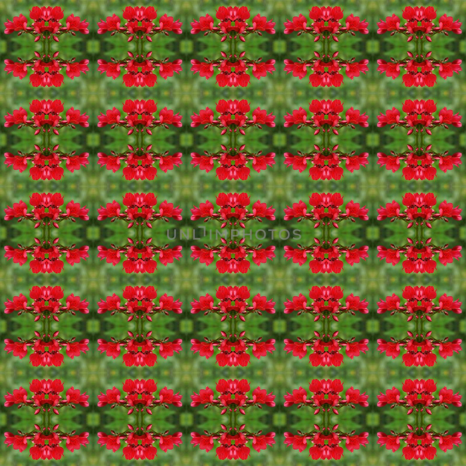 Small flowers with a bouquet of red flowers, have both buds and flower in full bloom seamless use as pattern and wallpaper.