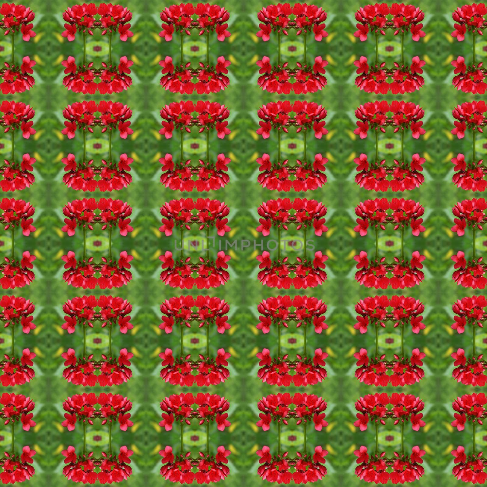 Small flowers with a bouquet of red flowers, have both buds and flower in full bloom seamless use as pattern and wallpaper.