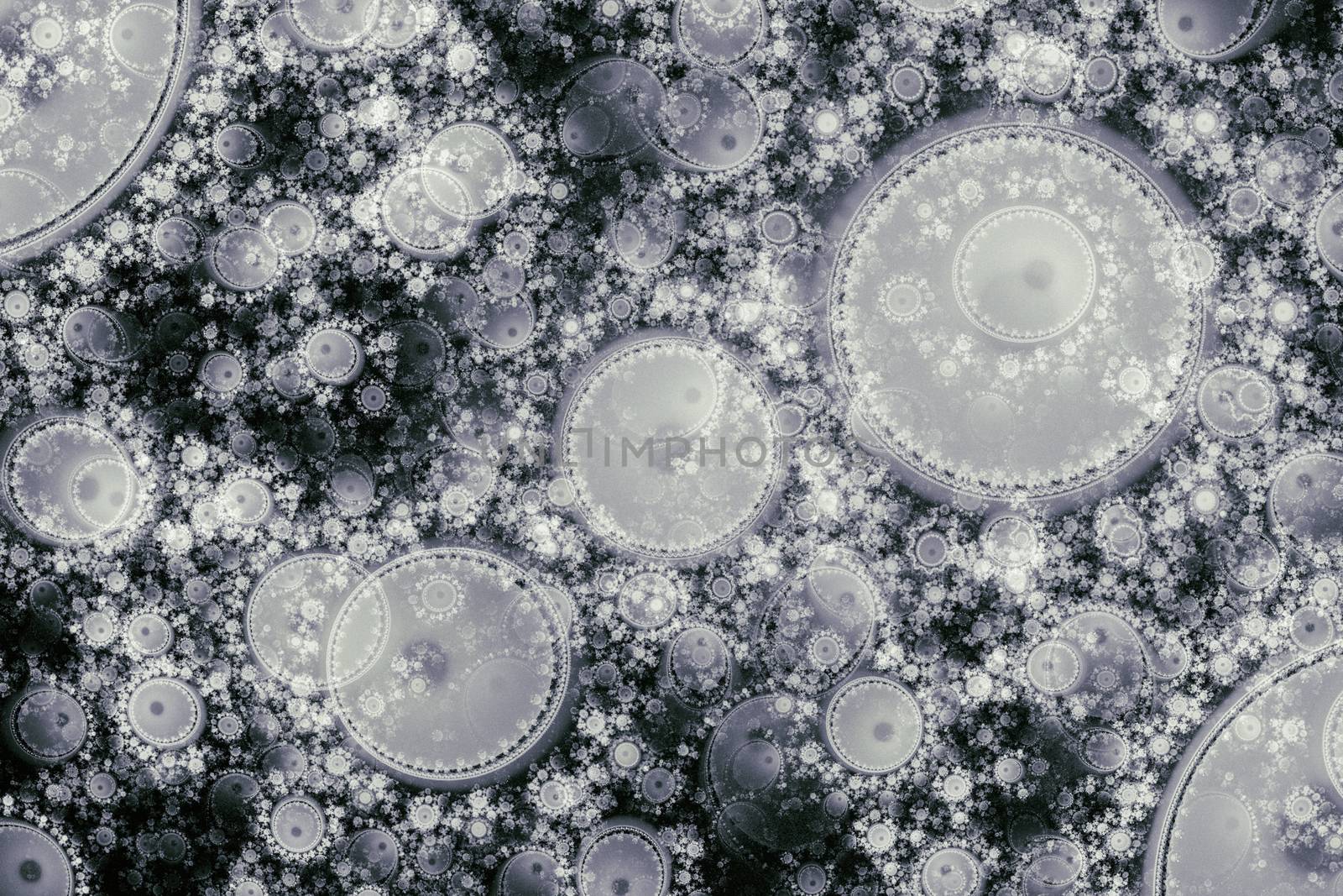 B&W fantasy. Computer generated fractal artwork for design