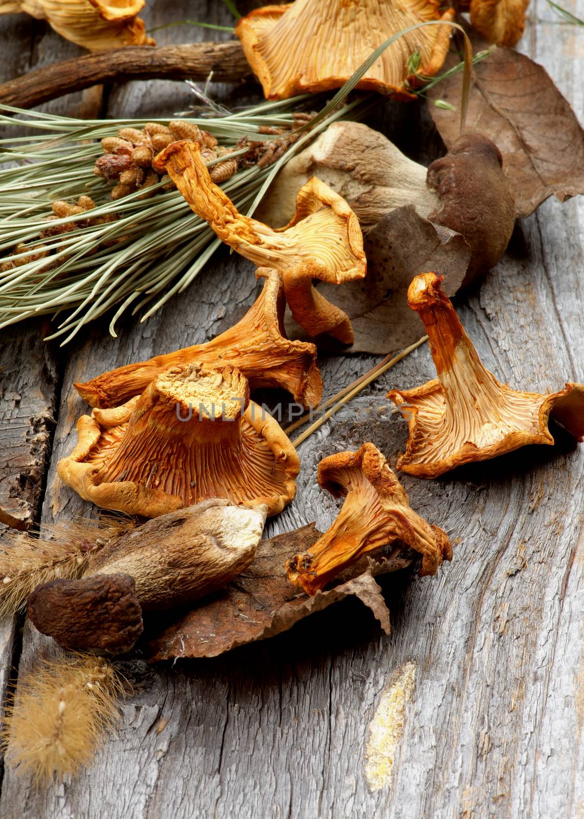 Heap of Dried Forest Chanterelles, Porcini and Boletus Mushrooms with Dry Grass and Leafs closeup in Rustic Wooden background