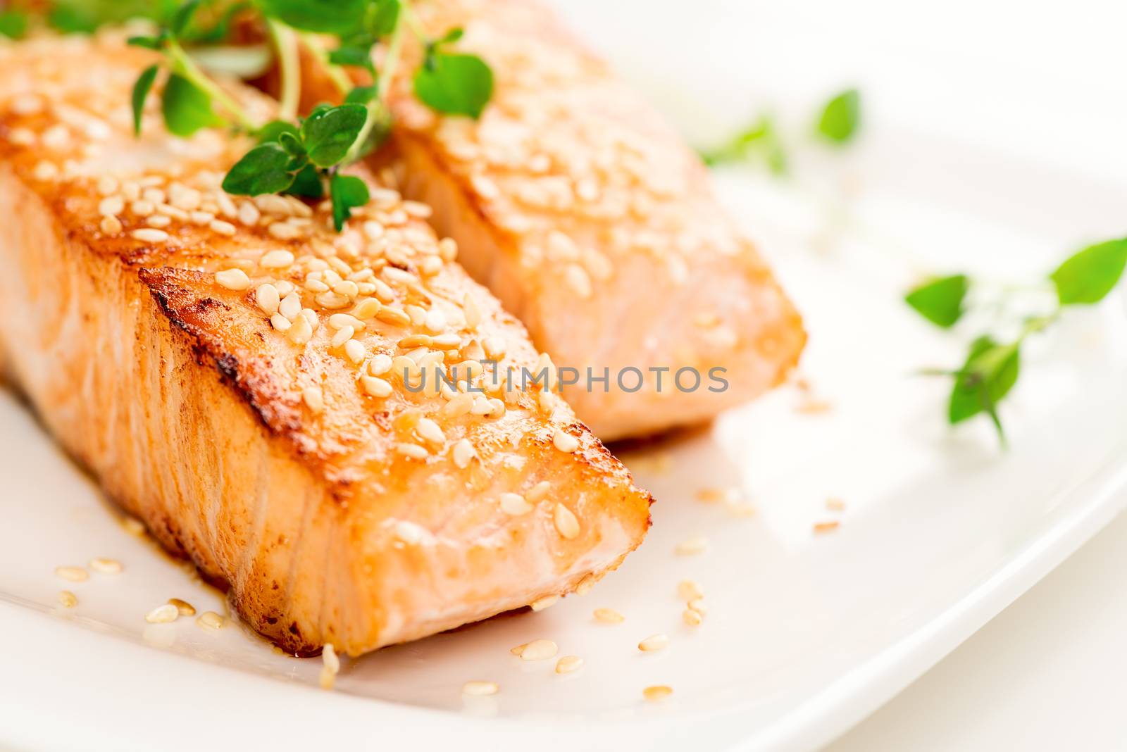 Grilled salmon on white plate macro by Nanisimova