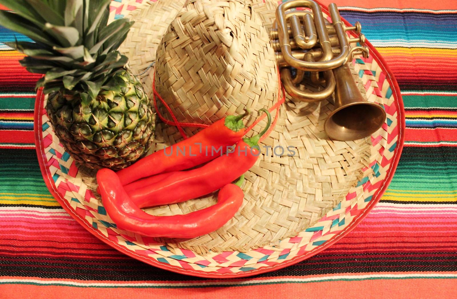 Traditional Mexican fiesta poncho rug  in bright colors with sombrero by cheekylorns