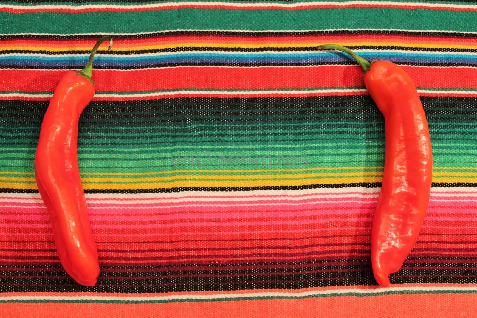 Mexico Poncho Serape sombrero chili Background by cheekylorns