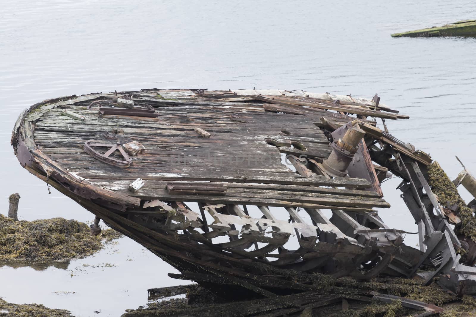 graveyard of ships left for a very long time