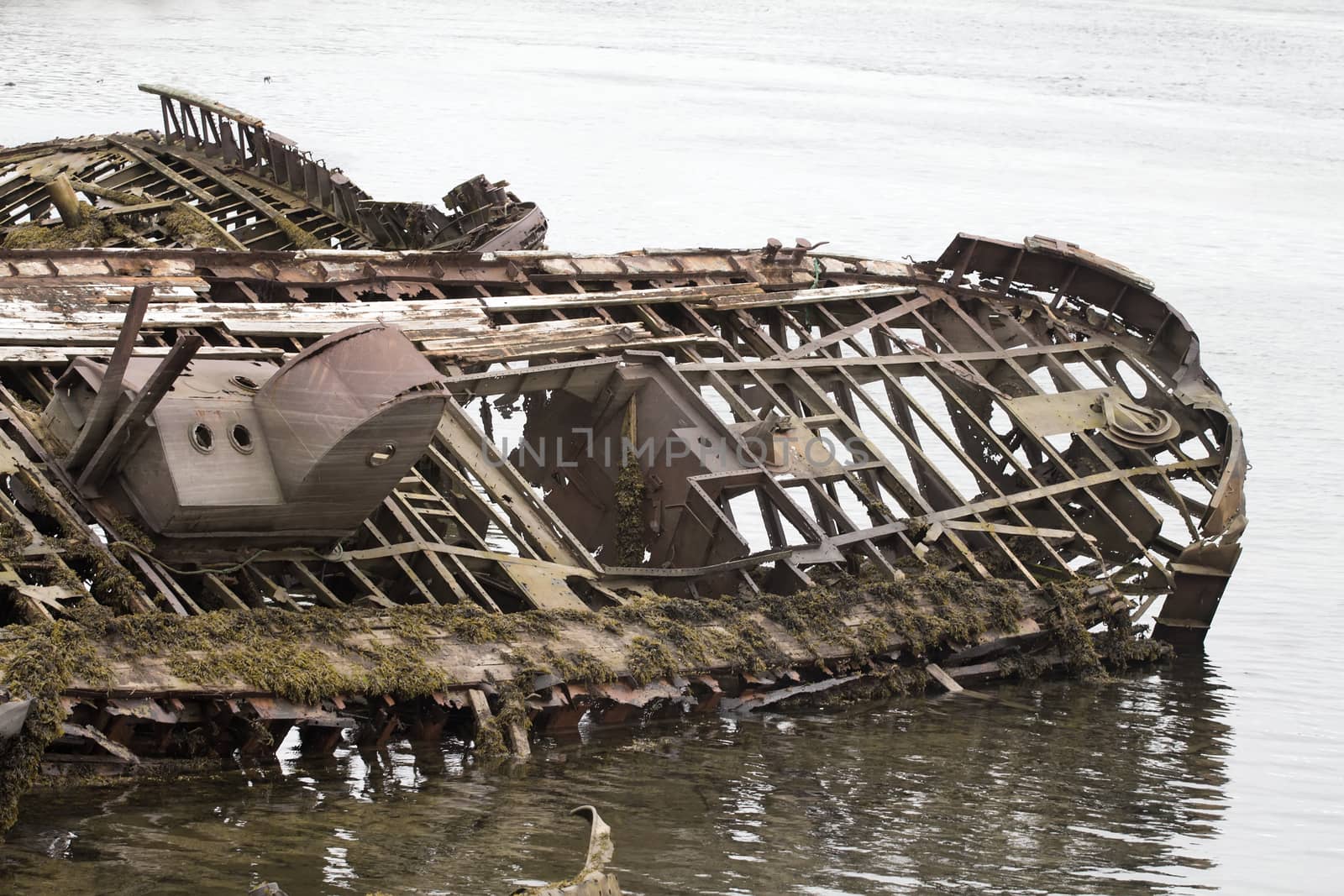 graveyard of ships left for a very long time