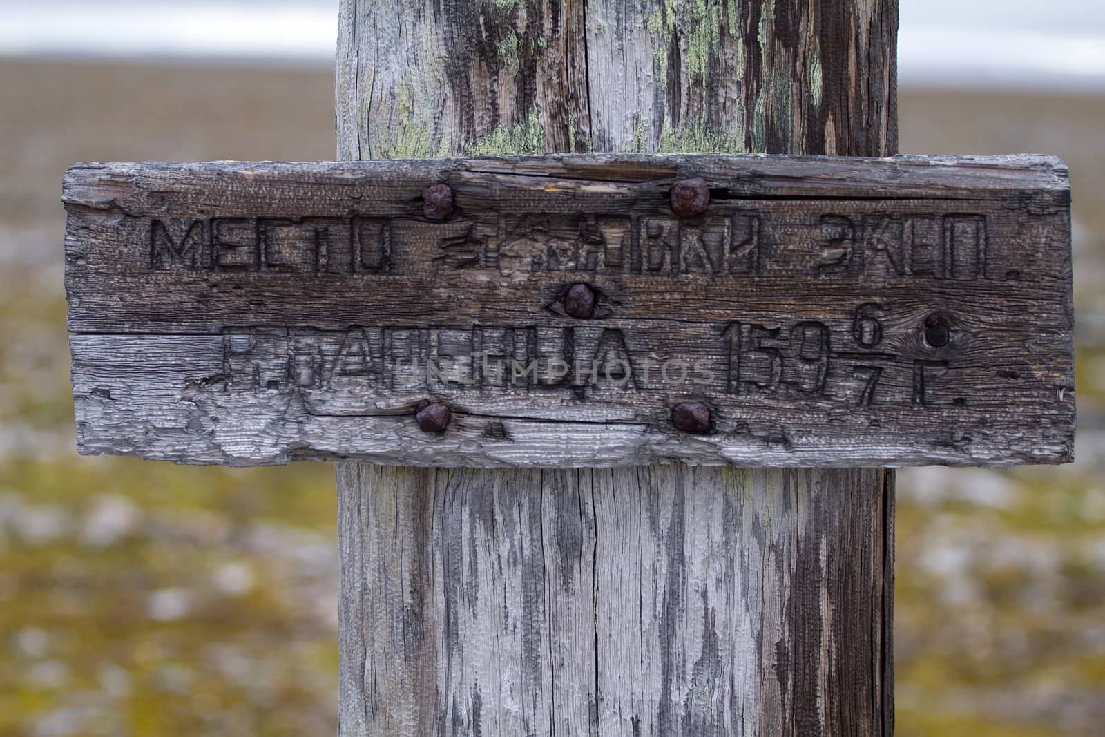  cross and inscription on wintering expedition of Willem Barents sea on island of Novaya Zemlya. Old nails. inscription in Cyrillic.