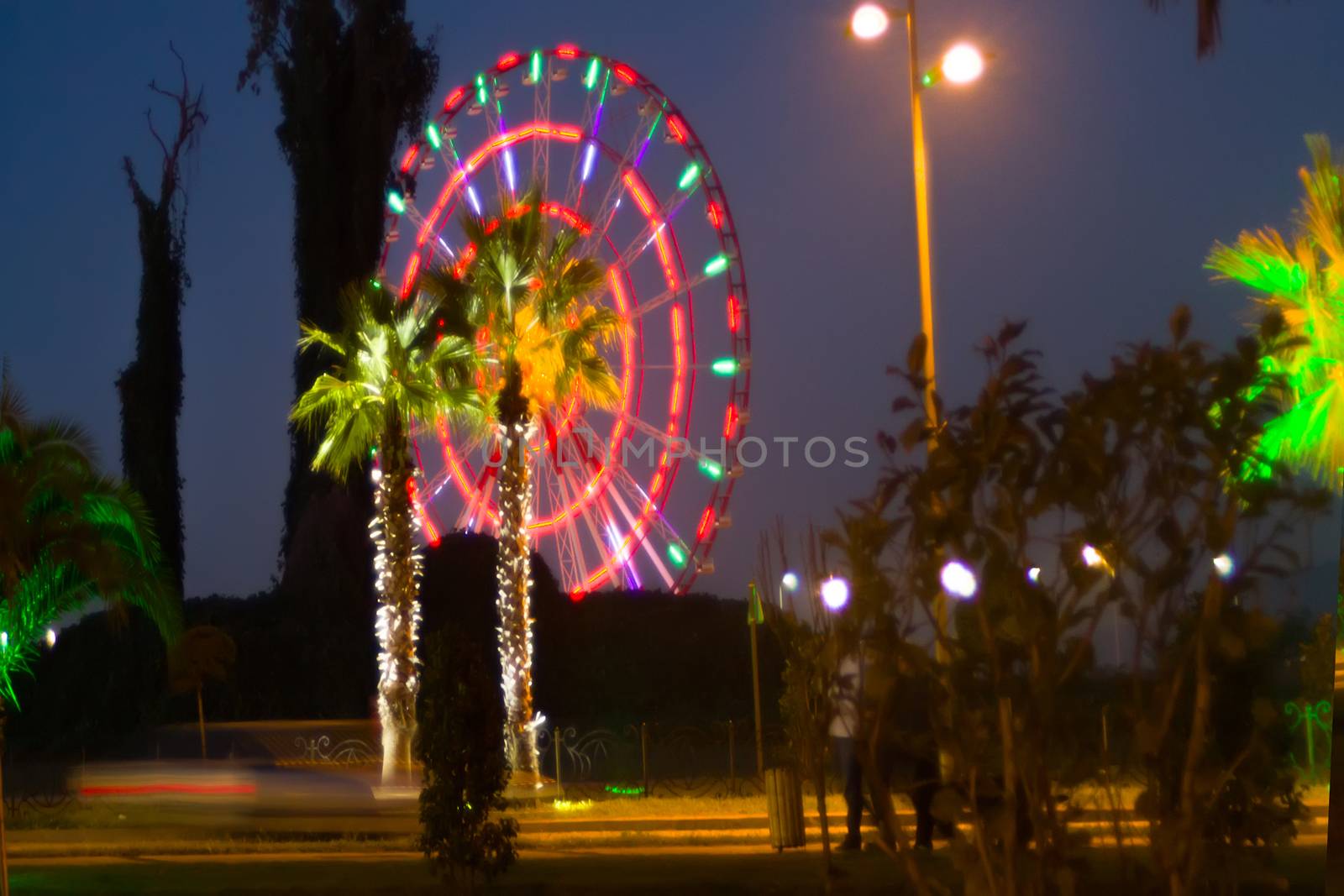 Lighted palm trees and illumination on  street South of the city.  entertainment industry