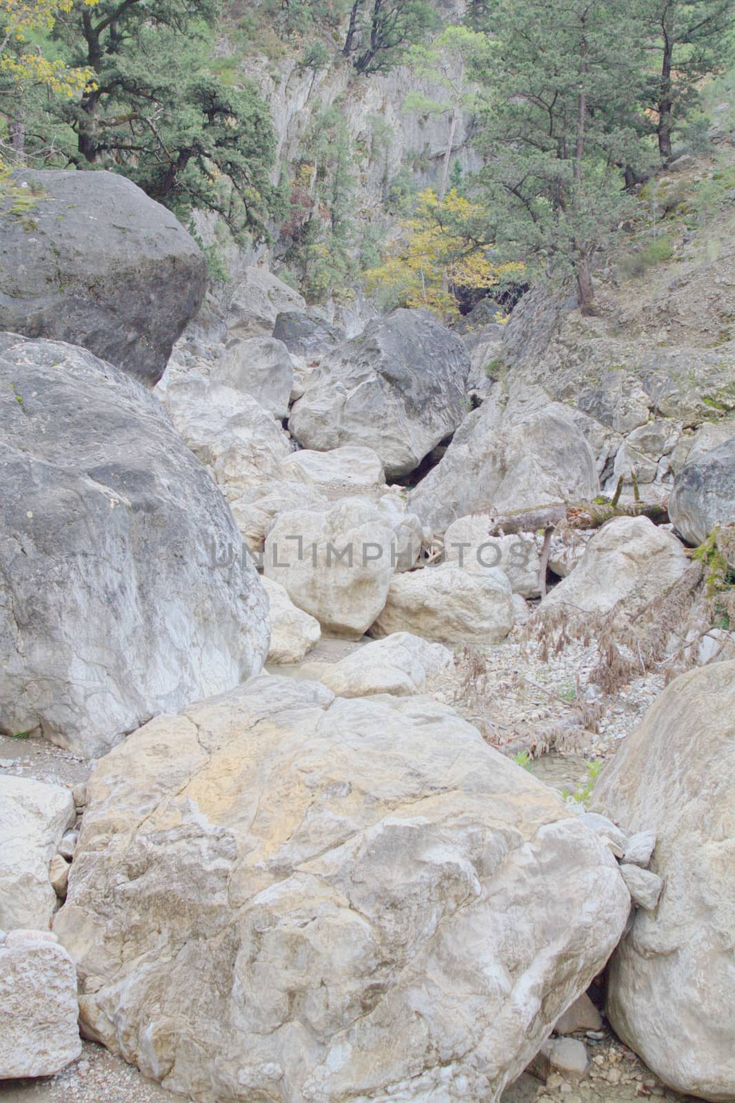 Dry Creek flows between large stones. Visible yellow forest. 