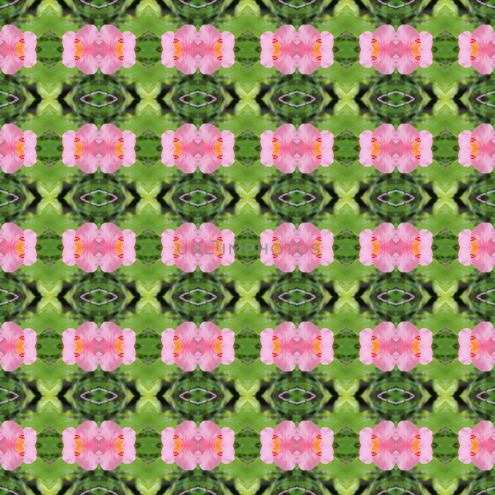 Pink hibiscus flower full bloom on the trees seamless use as pattern and wallpaper.