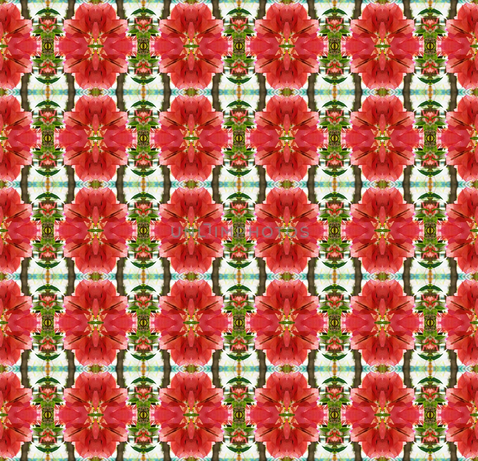 Orange bougainvillea flowers bloom in summer seamless use as pattern and wallpaper.