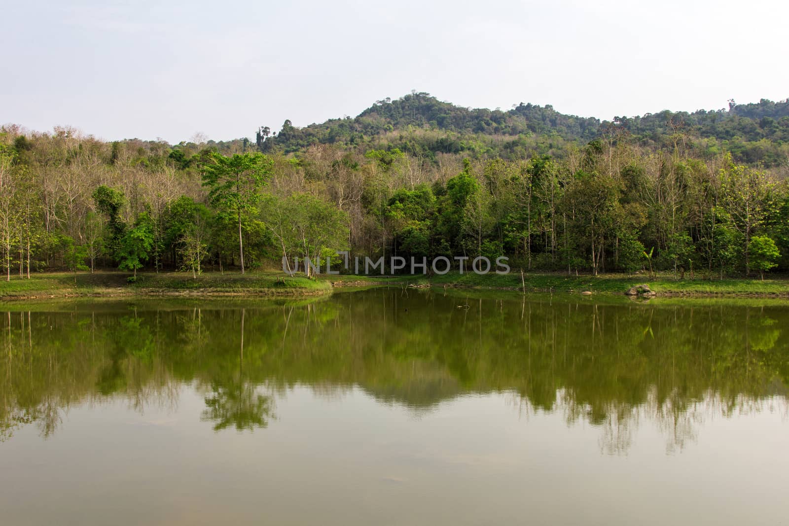 Landscape with a silent lake in forest