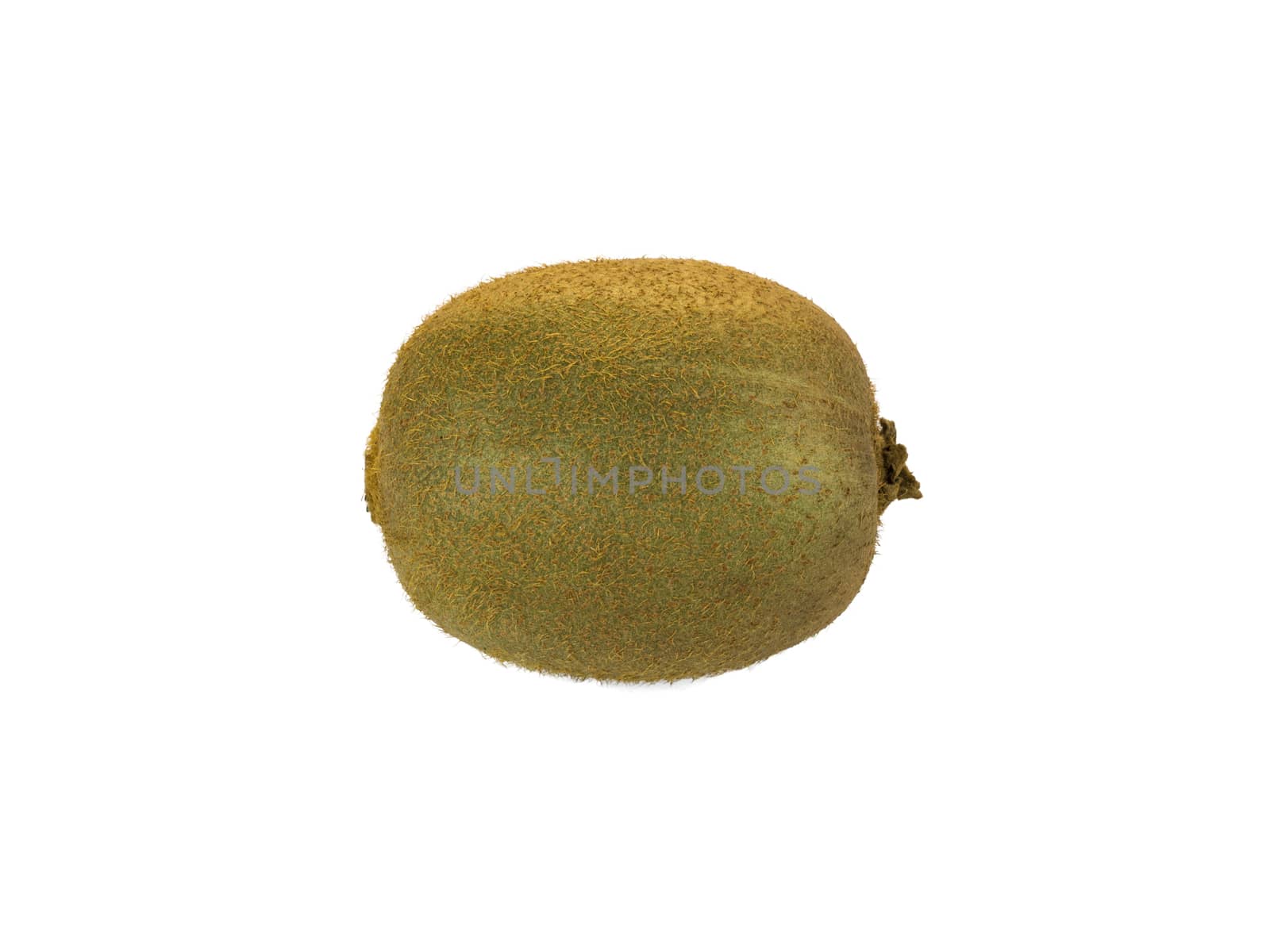 Kiwi isolated on white background