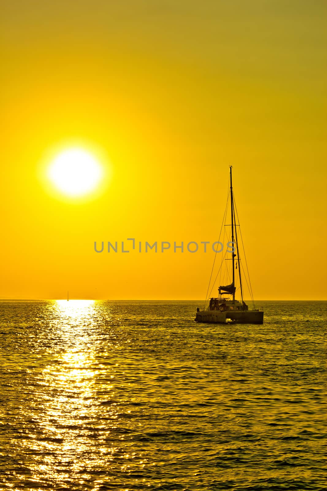 Catamaran sailboat at golden sunset by xbrchx