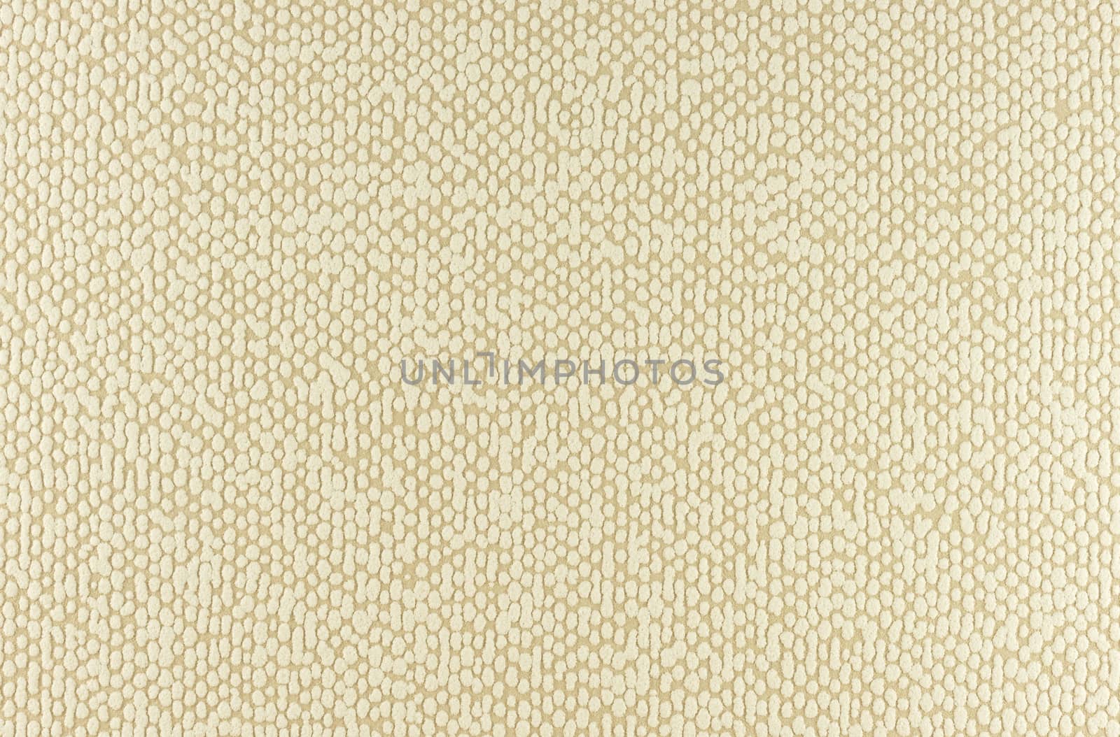 texture on paper background in white and brown dots