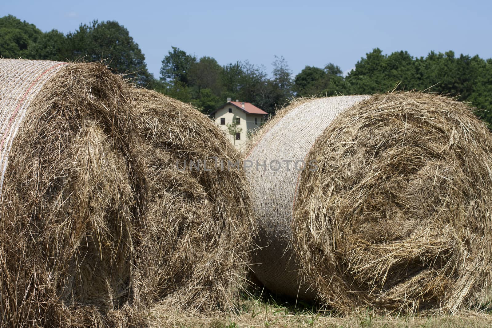 large haystacks round, in Italian country