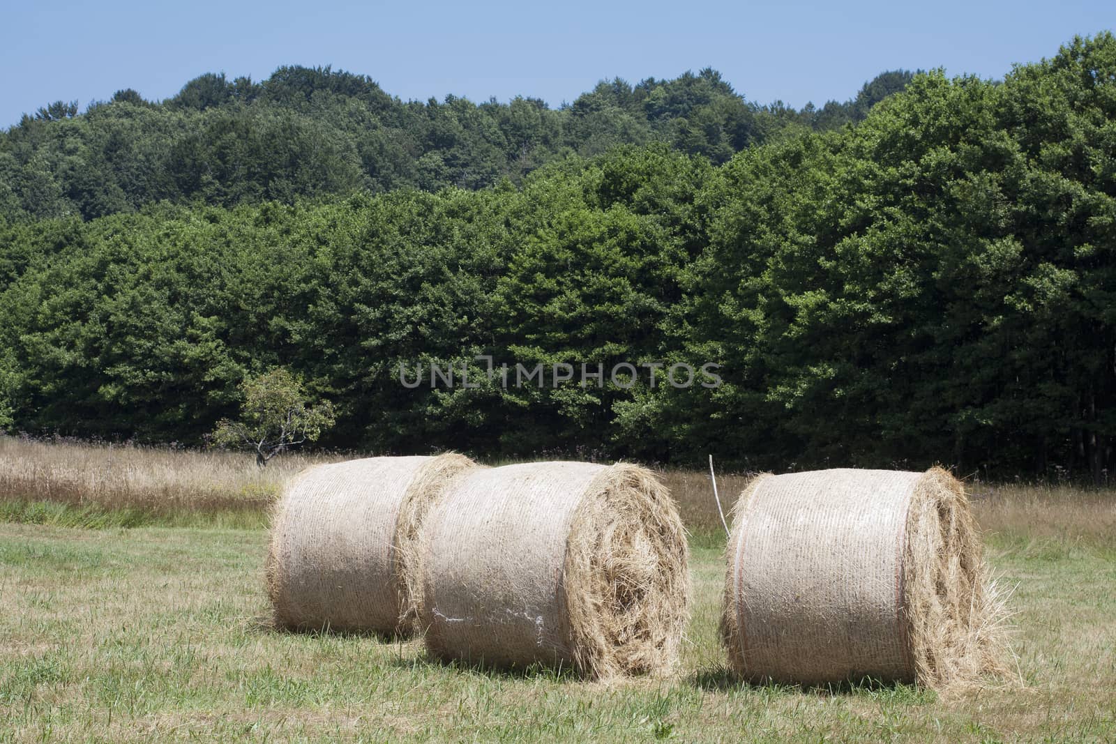 large haystacks round by belinchephoto