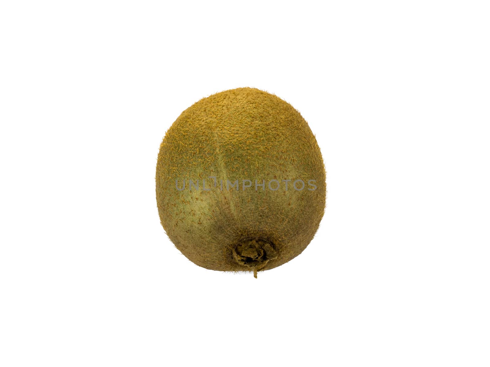 Kiwi on white background by matteocurcio