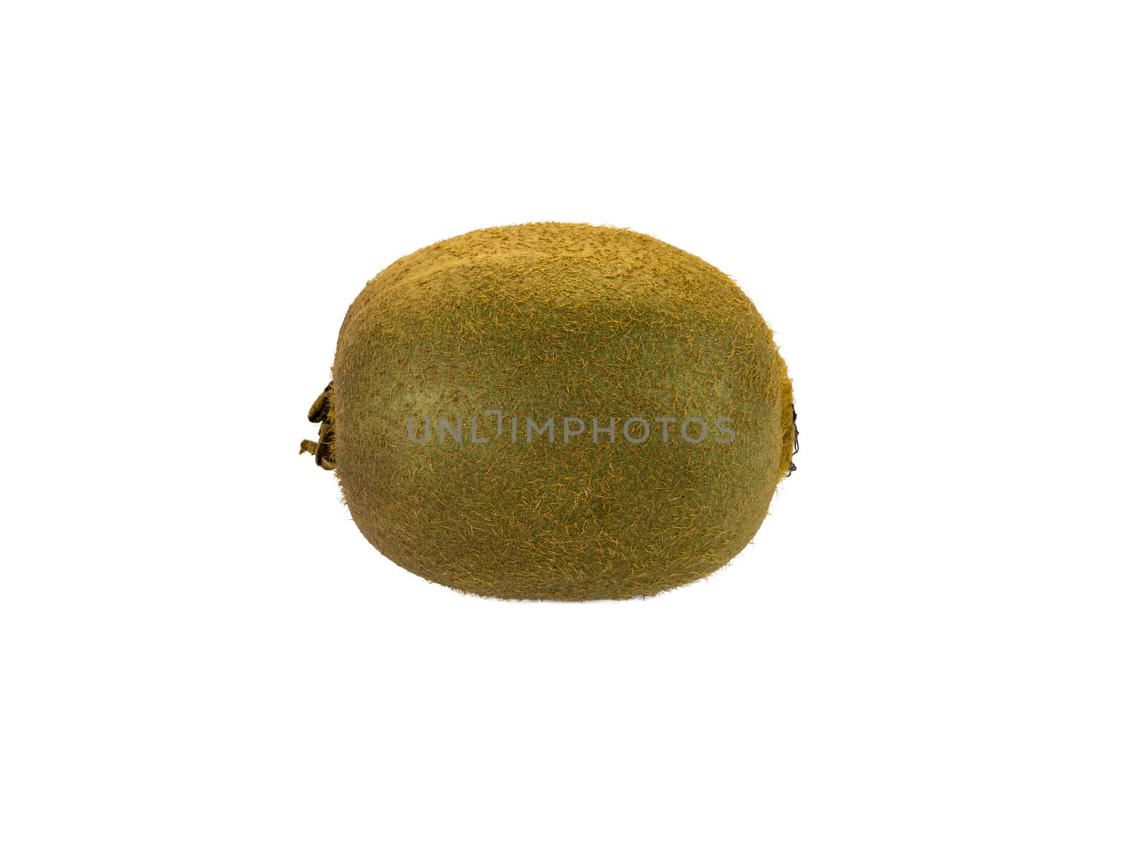 Kiwi on white background by matteocurcio