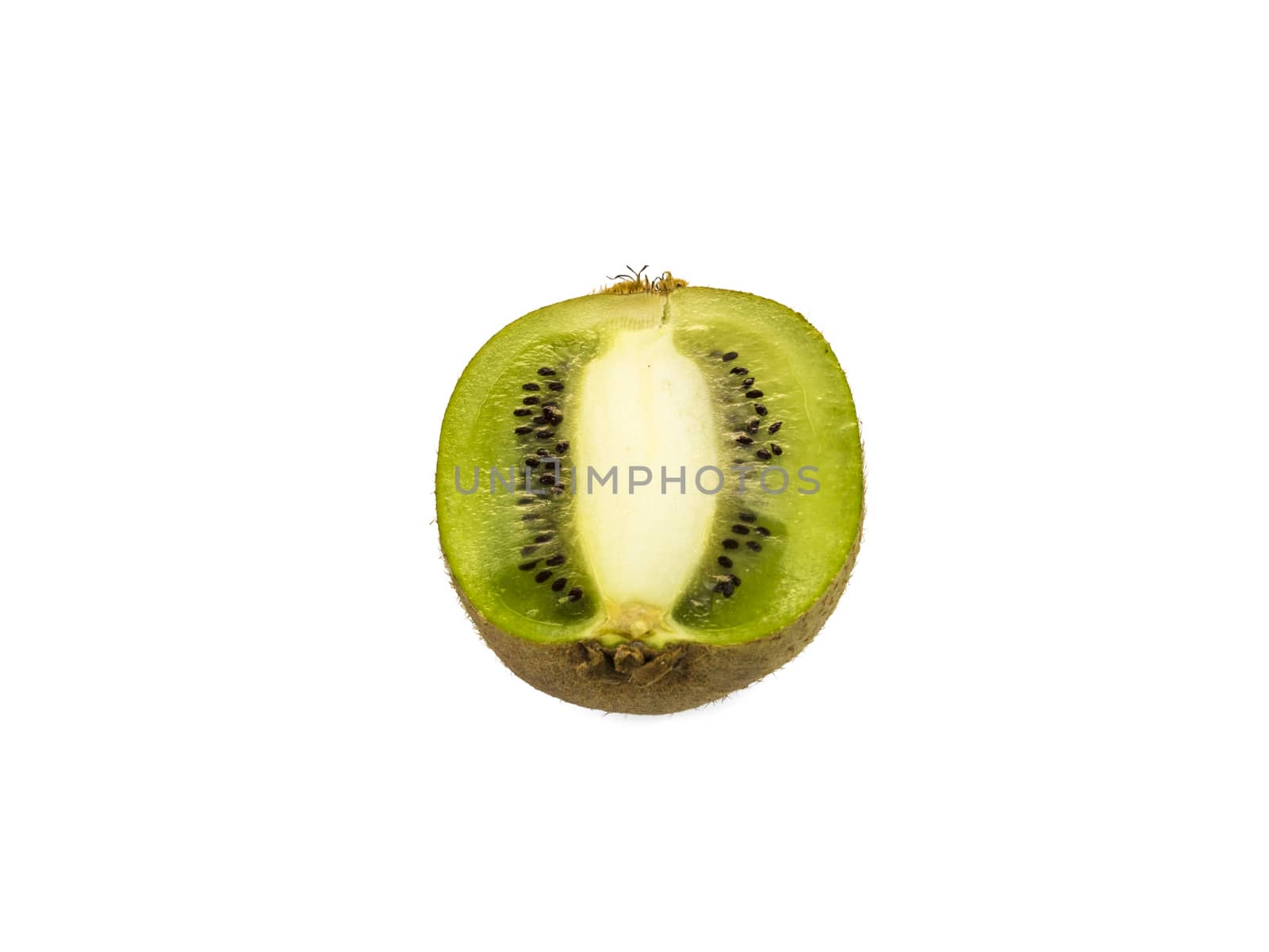 Kiwi cut in half on white background by matteocurcio