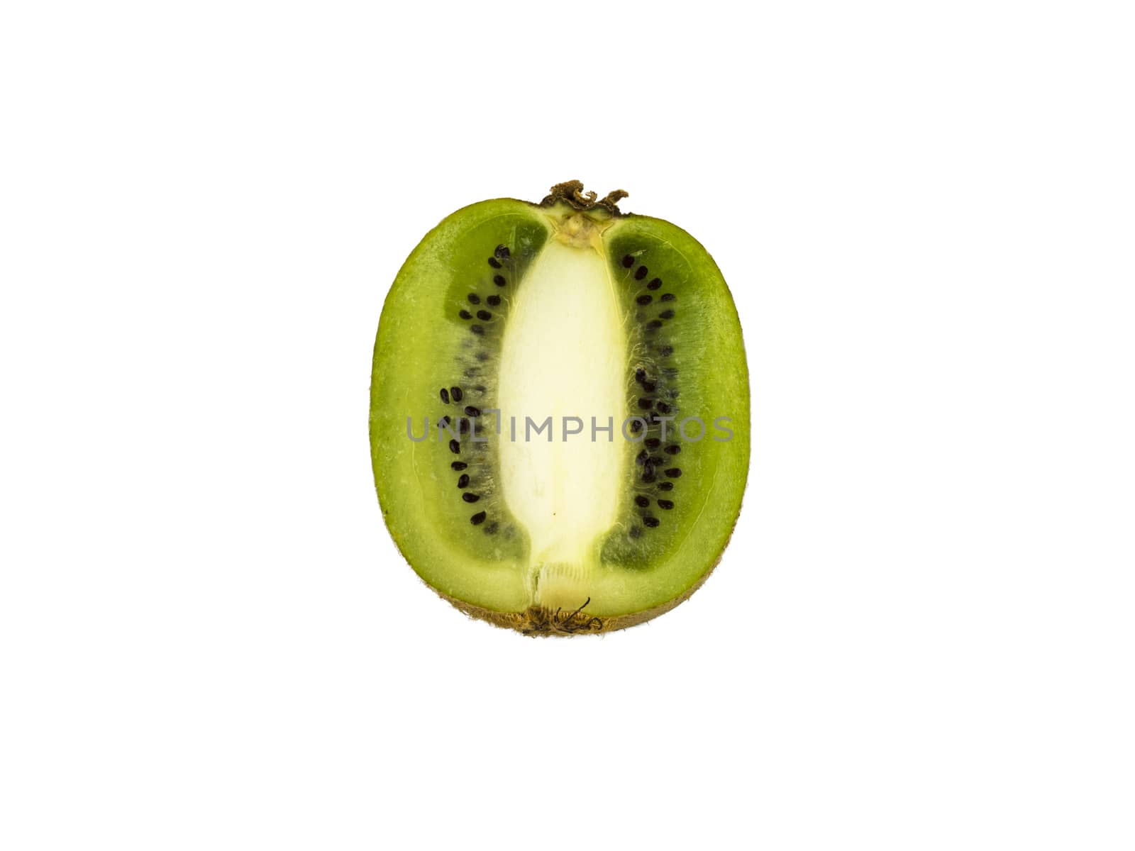 Kiwi cut in half isolated on white background