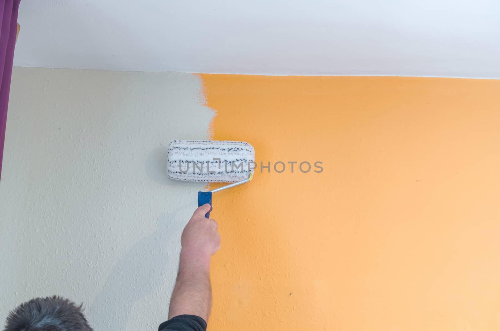 Hand with paint roller renovating. Painting a wall with white paint