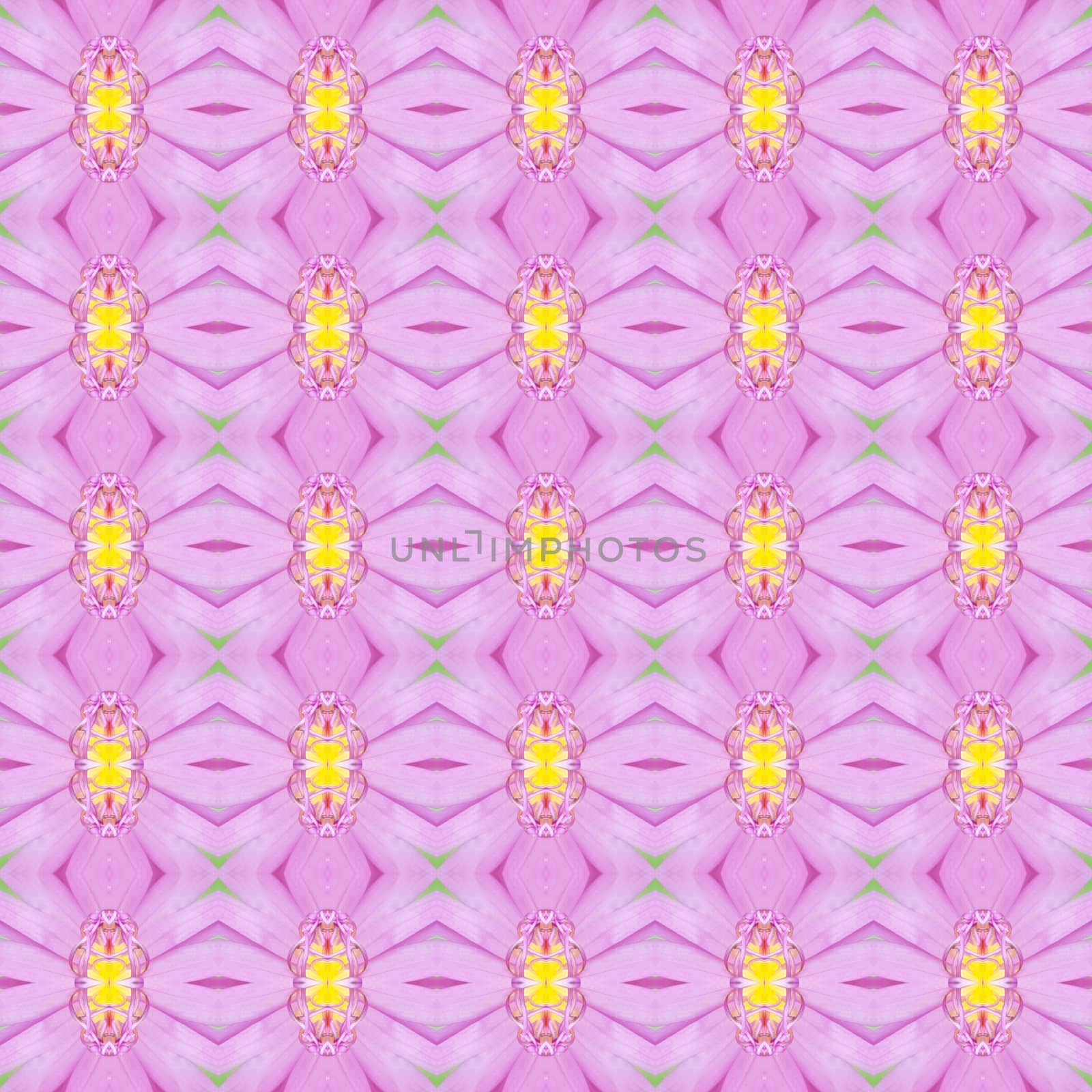 Pink lotus or waterlily with yellow pollen seamless use as pattern and wallpaper.