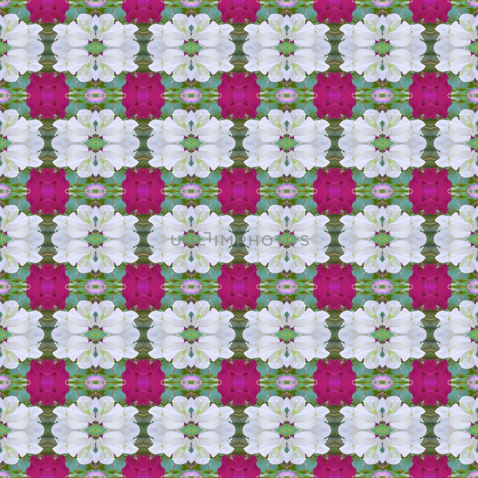 White and pink Bougainvillea or Paper flower with green leaves abstract background seamless use as pattern and wallpaper.