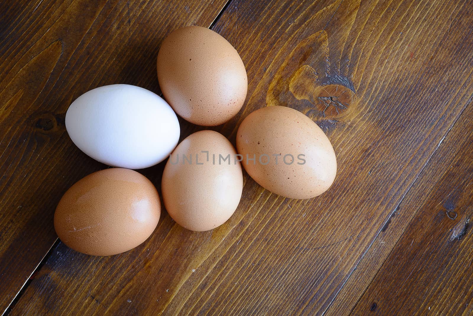 Chicken eggs with egg white sockets on the farm