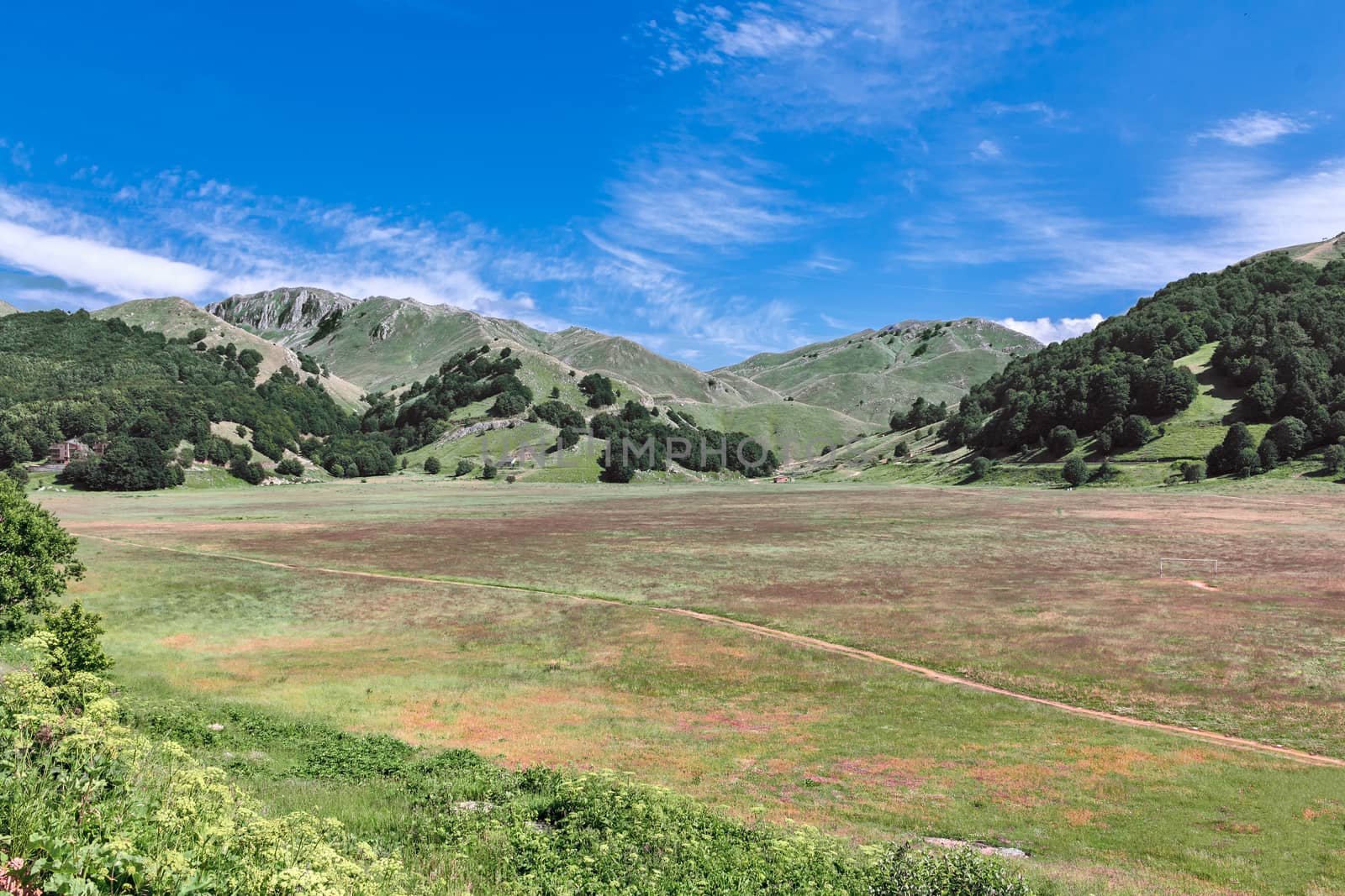 green landscape of mountain