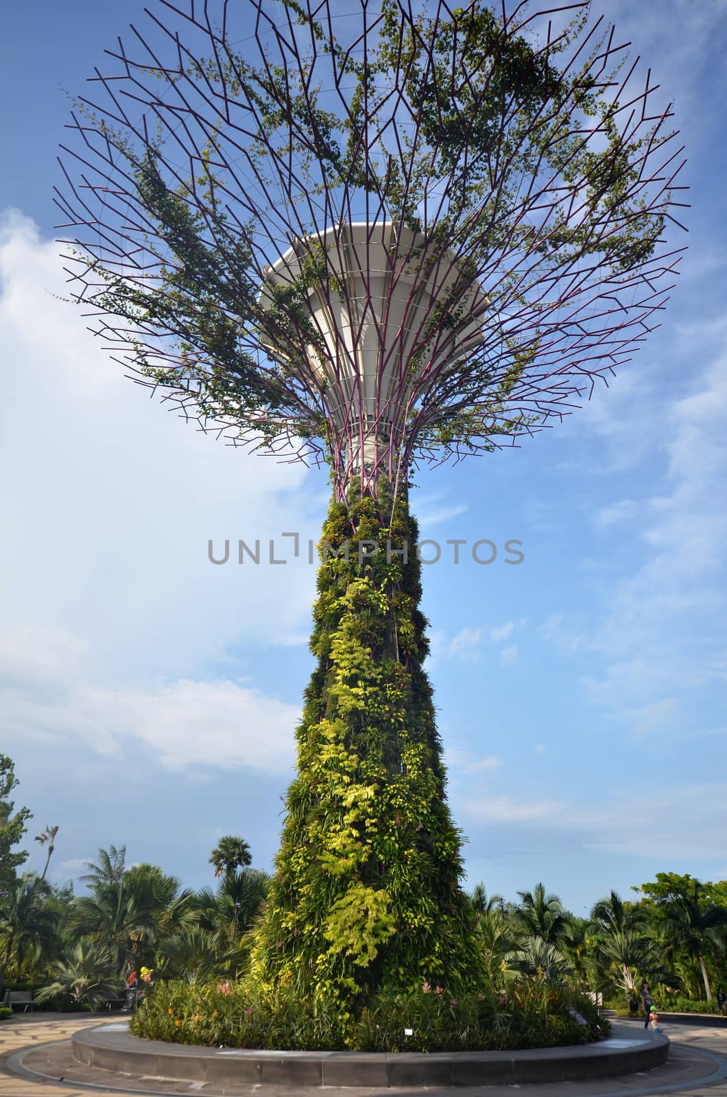 Super-tree in Garden by the bay at Singapore