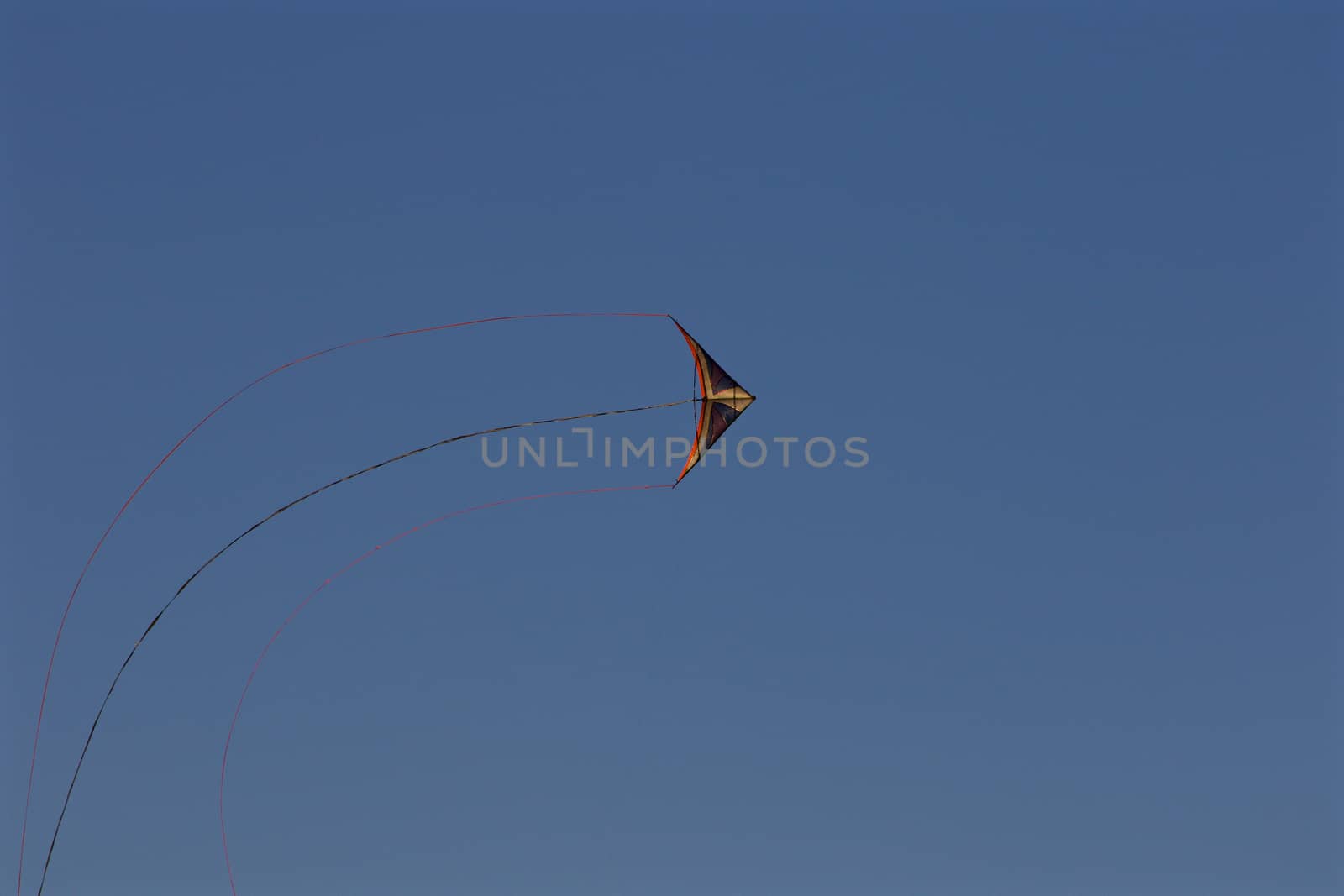 Beautiful background with the kite in the blue sky