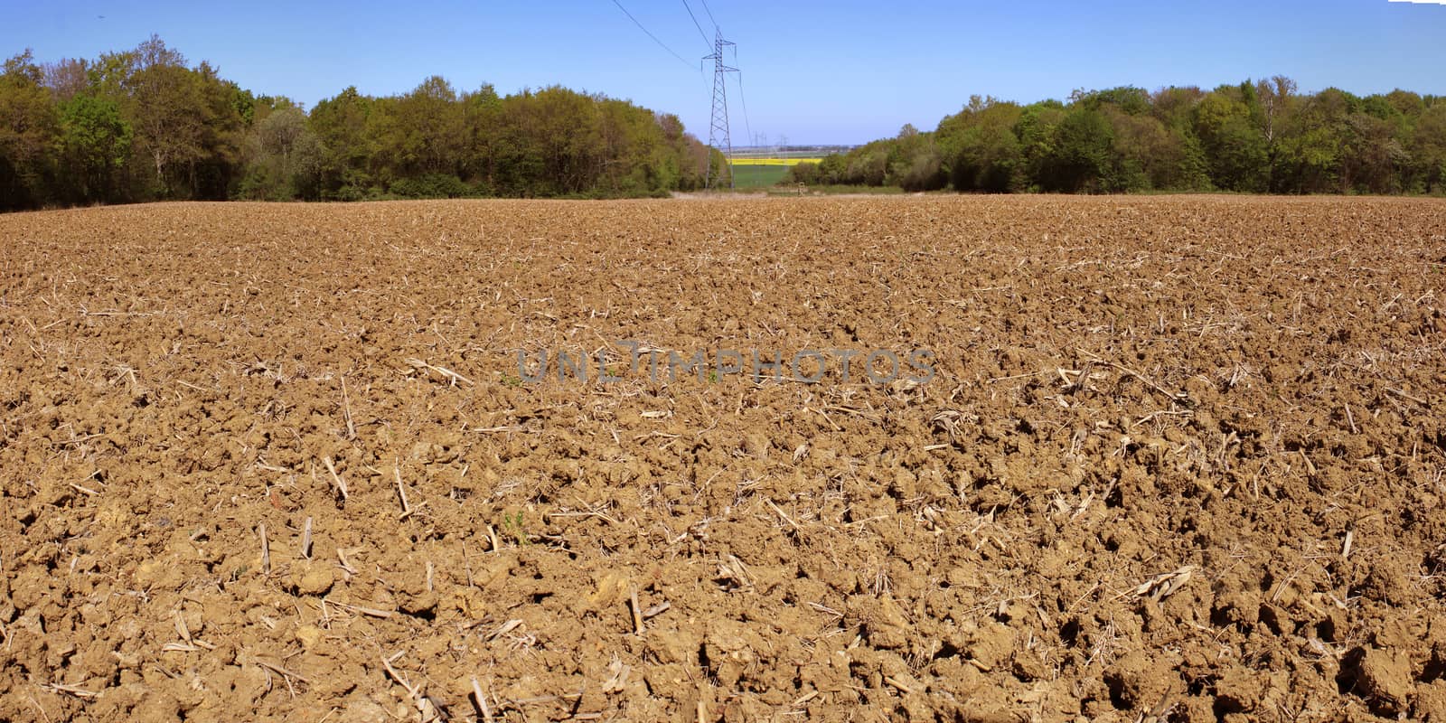 panoramic photo of farmland to organic farming trees on a blue sky