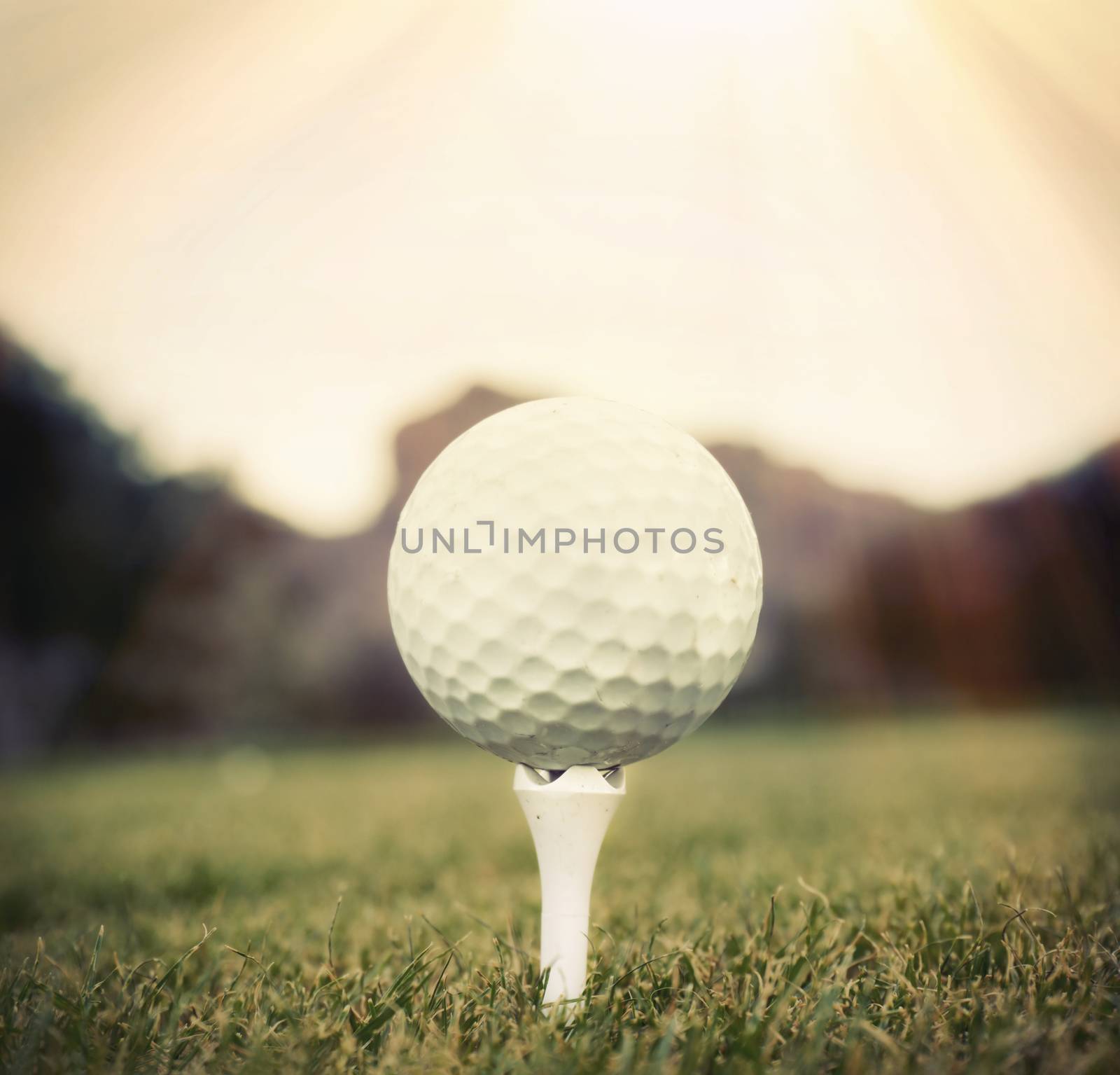 Golf ball on tee by Paulmatthewphoto
