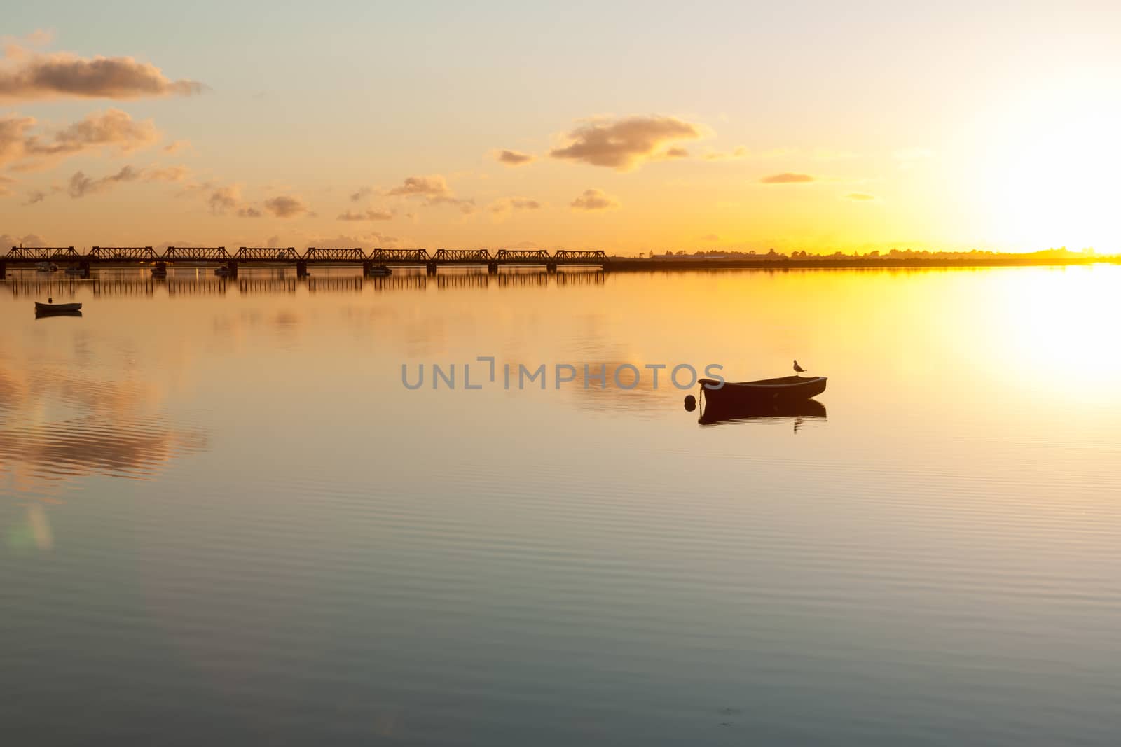 Sunrise and calmness over Tauranga Harbour. Water ripples bird on boat and historic rail bridge on horizon.