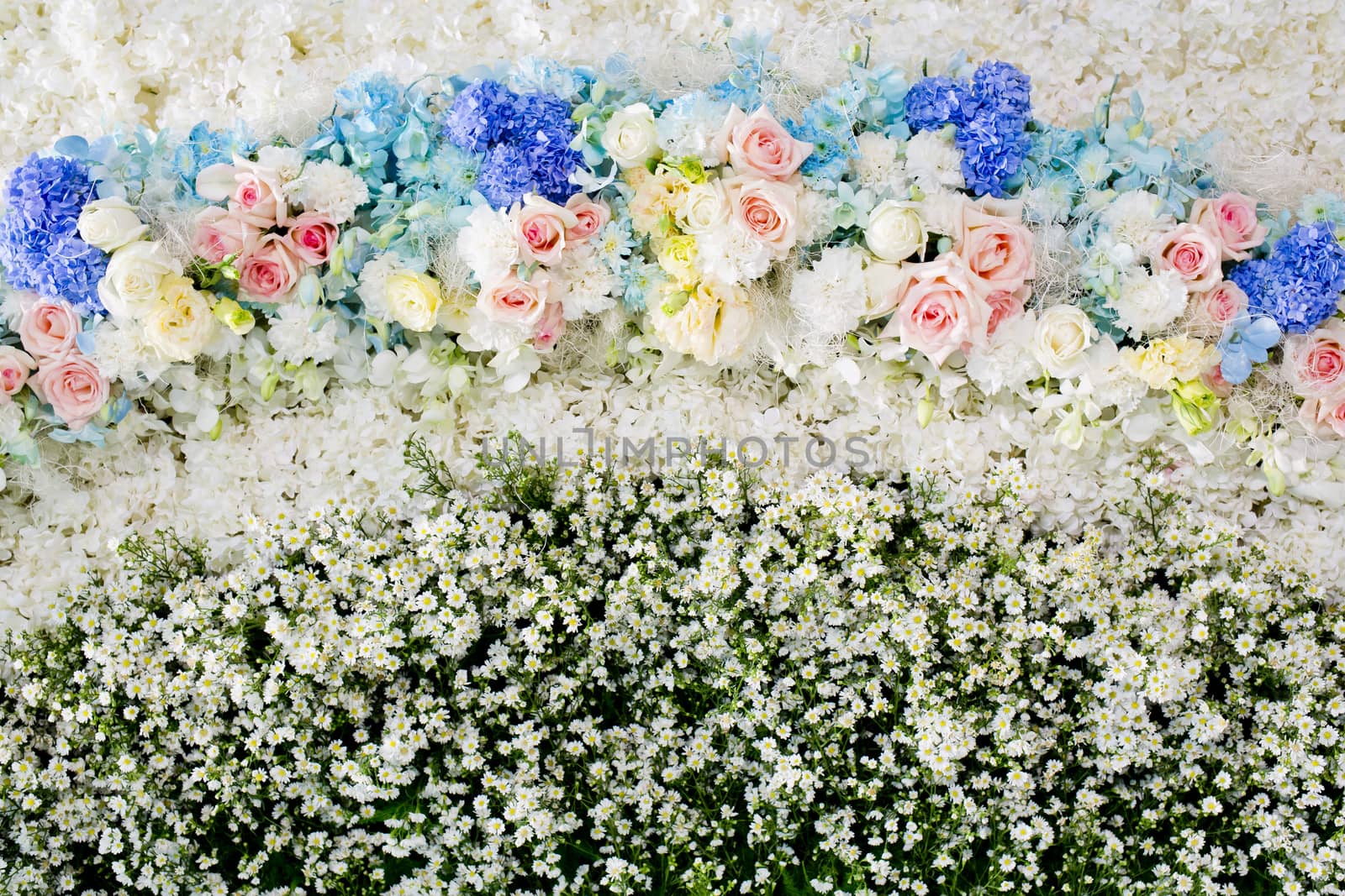 Abstract background of flowers. Close-up floral wedding backdrop by art9858