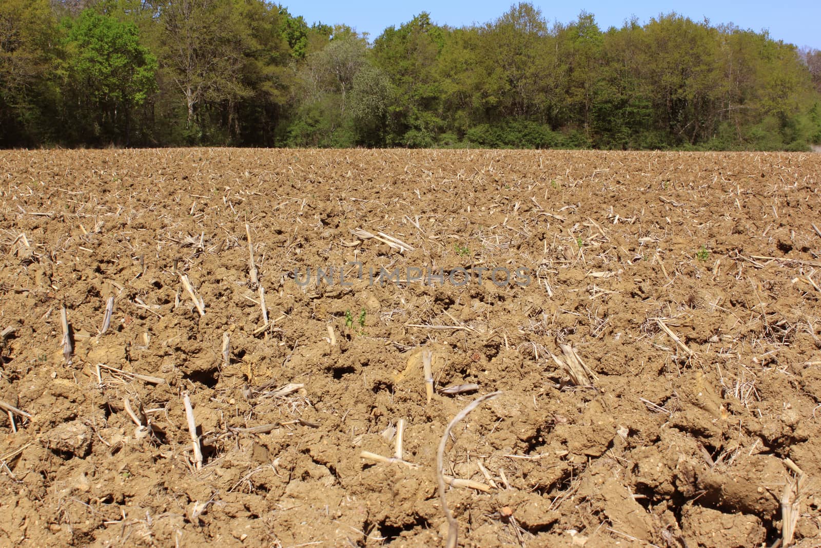 Agricultural land by 26amandine