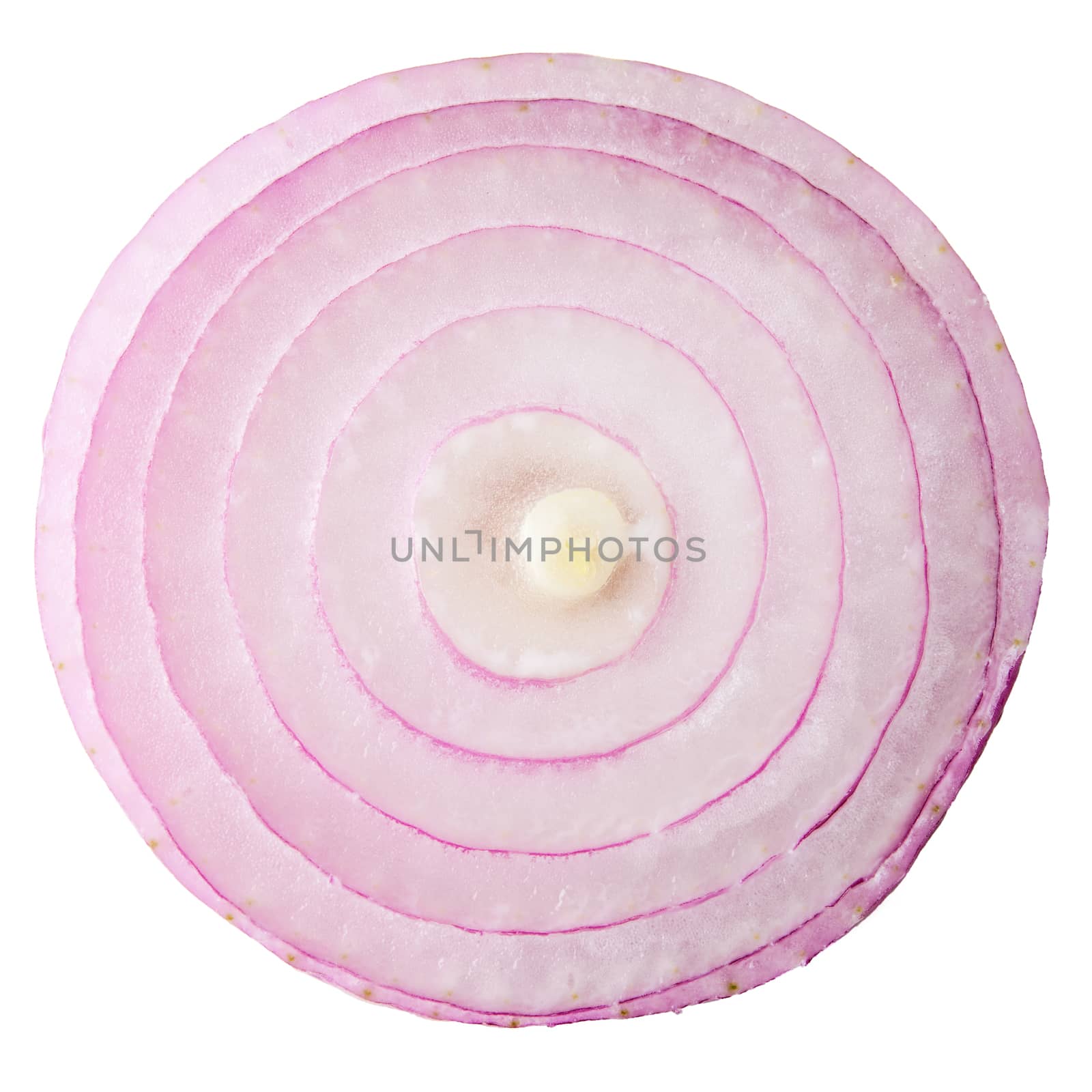 red onion slice